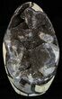Polished Septarian Geode Sculpture - Black Crystals #55021-1